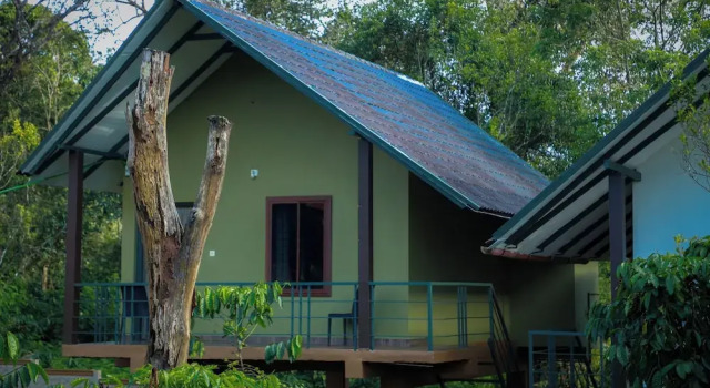 Номер Deluxe The Rain Tree Resort