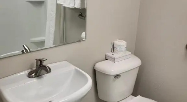 Standard Zimmer Red Fox Inn and Suites