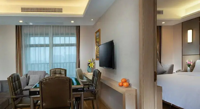 Люкс Vienna Hotel