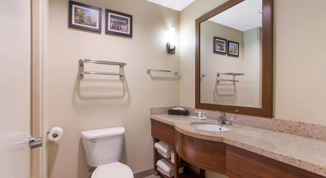 Двухместный люкс Comfort Suites Saraland - North Mobile