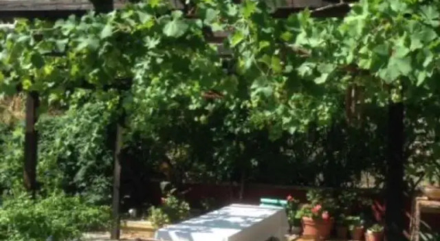 Вилла Masseria Bel Cortile - Ostuni