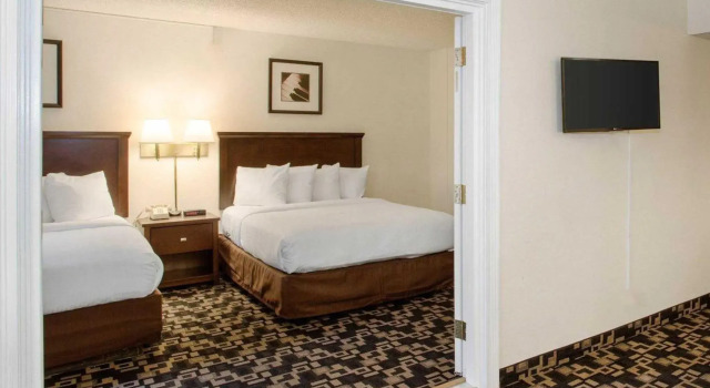 Четырёхместный люкс MorningGlory Inn & Suites