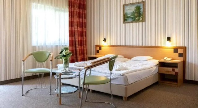 Двухместный номер Standard Hotel Vital