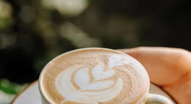 Bonding Coffee Roaster Café & Hotel, Prenota Hotel Quepos Puntarenas