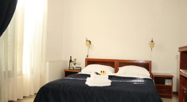 Одноместный номер Standard Hotel Danica