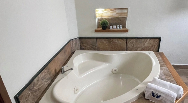 Полулюкс с балконом Hotel & Balneario Los Angeles