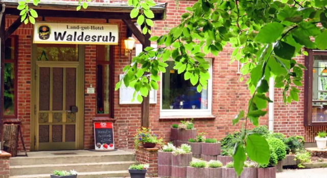 Номер Standard Land-gut-Hotel Waldesruh