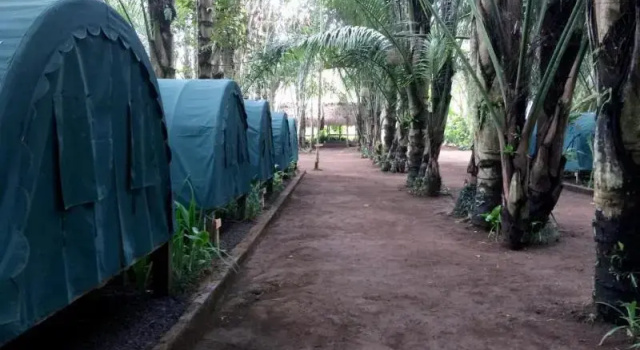 Номер Standard Tegal Dukuh Camp