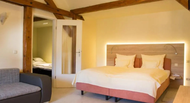 Двухместный номер Standard Hotel Gewürzmühle