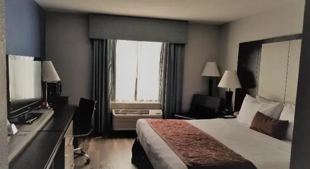 Двухместный номер Standard Wyndham Garden Hotel - Jacksonville