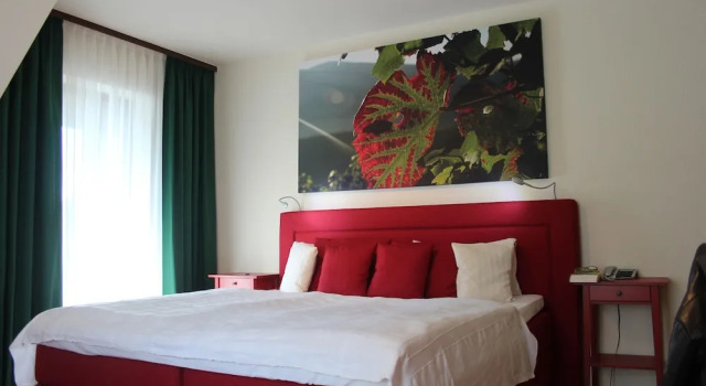 Семейный номер Standard с балконом Landhotel Salmen
