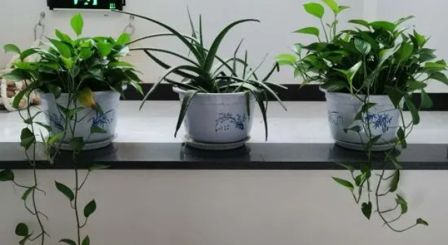 Wuyuan Fanglin Residence, Rezerwuj Hotel Wuyuan Jiangxi