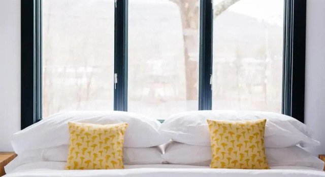 Suite Deluxe Eastwind