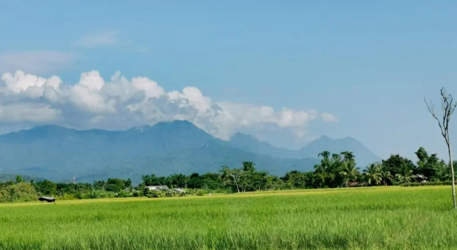 Двухместный номер Standard с красивым видом из окна Ban Din Resort Chiang Rai