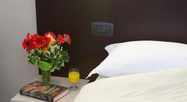 Одноместный номер AUTO PARK Hotel
