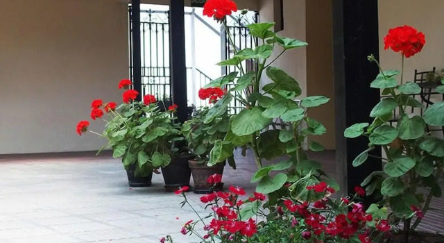 Hotel Restaurante Urgain II, Rezerwuj Hotel Hotele w Baskonia z parkingiem, Parking