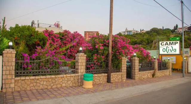 Номер Standard Apartments Oliva