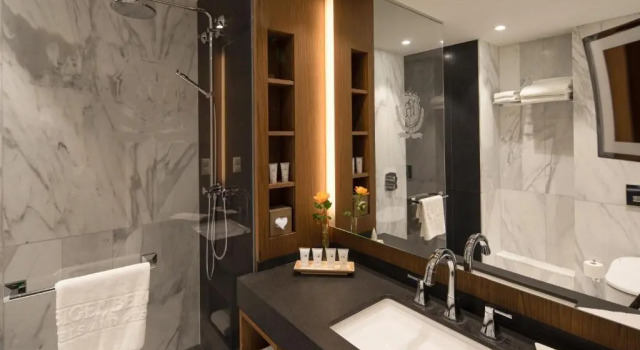 Двухместный номер Grand Deluxe Steigenberger Icon Parkhotel Düsseldorf
