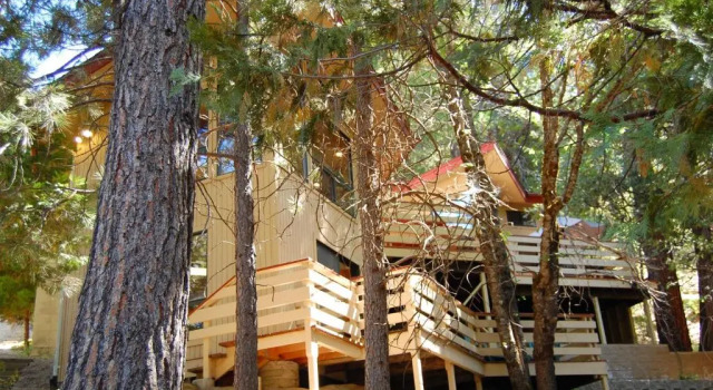 18a Pohono Pines