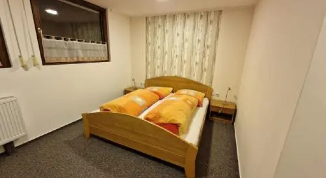 Schleicher Kuckuck