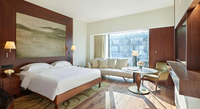 Двухместный номер Park Hyatt Zurich   City Center Luxury