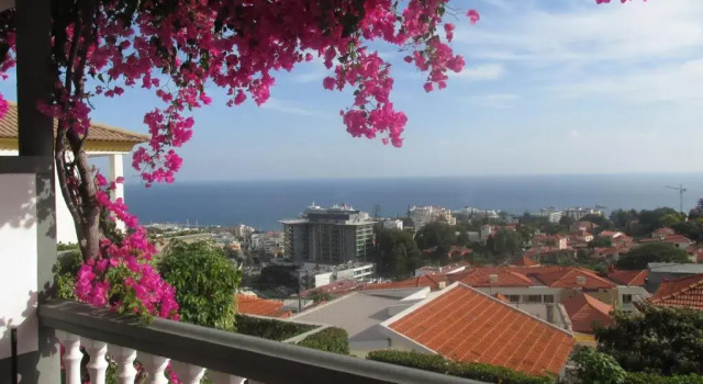 Студия с видом на бассейн Apartments Vista Oceano