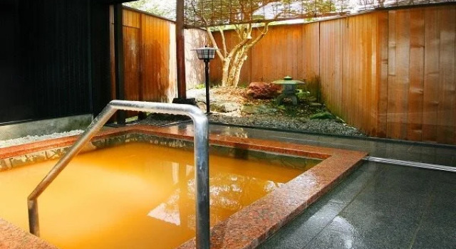 Namazu Daiichi Onsen Fujinoya, Prenota Hotel Toyama Hokuriku