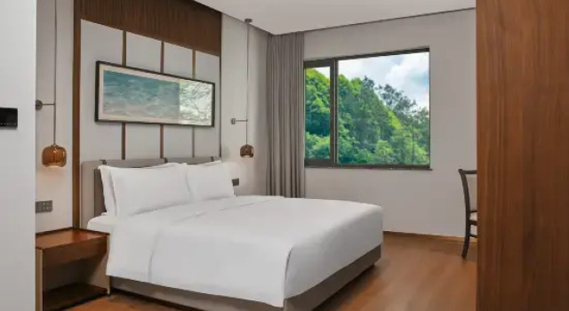 Люкс Shenzhen Wuzhou Mountain and Sea Bay Hotel