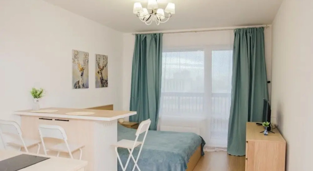Студия Comfort Апартаменты на Предпортовом, 1