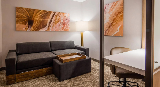 Четырёхместный люкс SpringHill Suites by Marriott Chambersburg