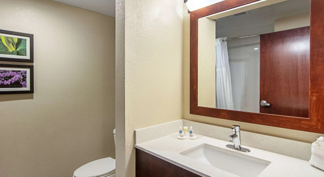 Четырёхместный люкс Comfort Suites Knoxville Airport