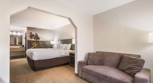 Двухместный люкс Clarion Pointe Forsyth I-75