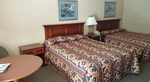 Двухместный номер Standard Swiss Village Inn