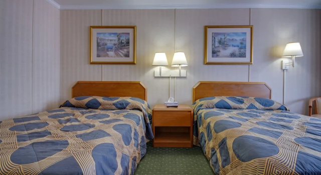 Четырёхместный номер Standard с видом на бассейн Sahara Motel