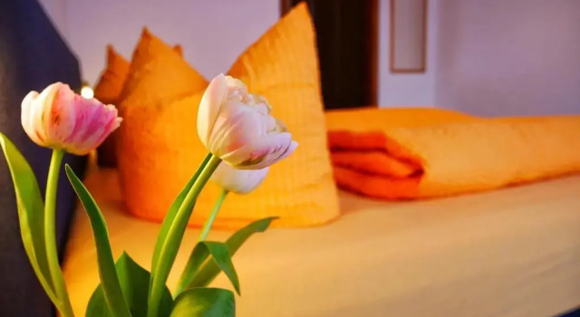 Двухместный номер Classic Wochners Hotel-Sternen Am Schluchsee Hochschwarzwald