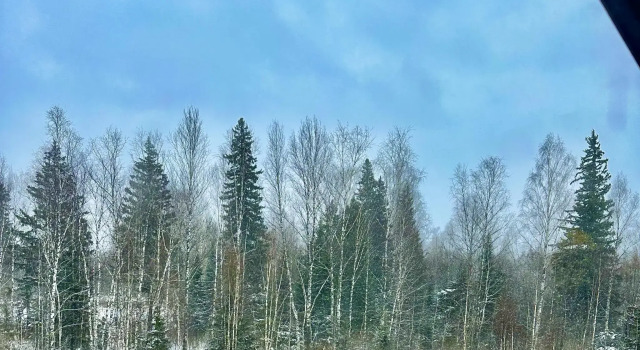 Коттедж Standard с балконом Хаски