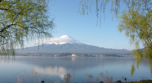 Cottage Tozawa Center