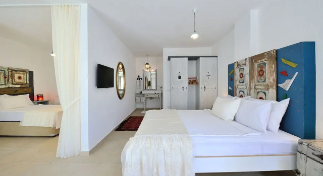 Полулюкс Pitahaya Home