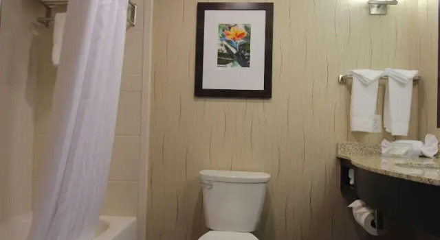 Двухместный номер Premium Hilton Garden Inn Findlay