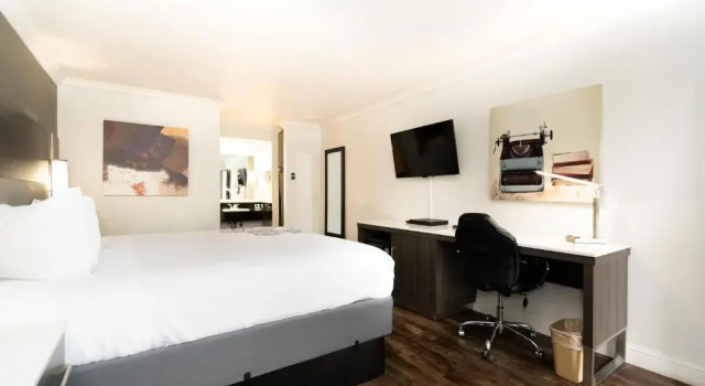 Номер Standard Rodeway Inn San Jose HWY-101 Tully Rd Exit
