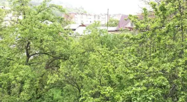 Двухместный номер Standard Areguni Guest House