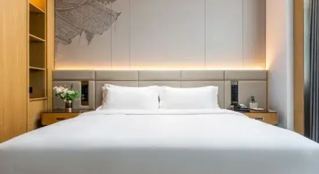 Superior Suite Mihome Hotel