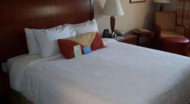Двухместный номер Standard Hilton Garden Inn Dover