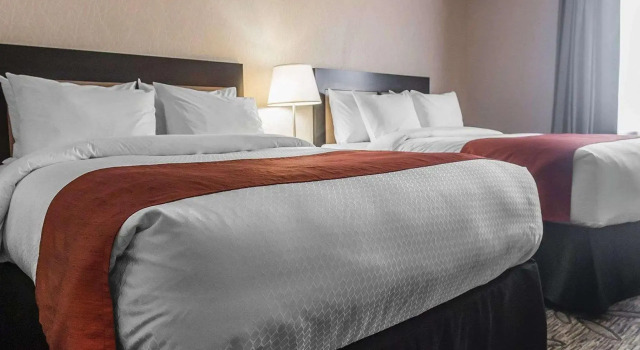 Четырёхместный номер Standard Quality Inn & Suites Kingston