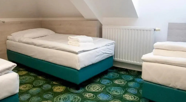 Номер Standard Hotel Center Novo Mesto