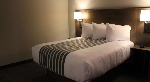 Четырёхместный номер Standard Best Western Plus Dauphin