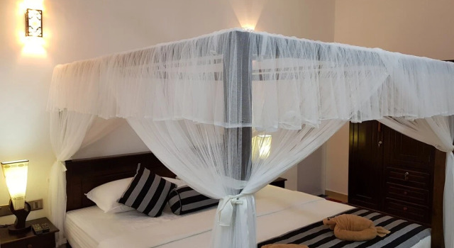 My Whales Guest House