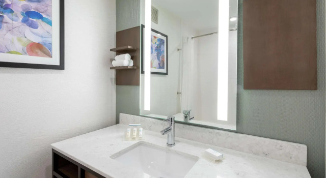 Четырёхместный номер Standard Hilton Garden Inn Minneapolis Saint Paul-Shoreview