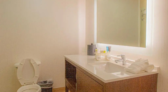 Люкс Holiday Inn & Suites Spring - The Woodlands