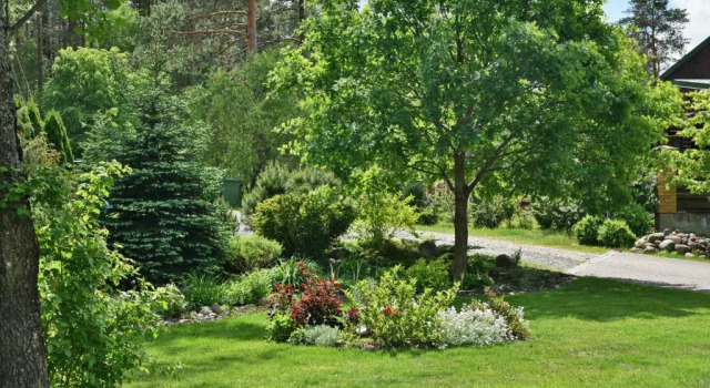 Atostogų namelis Druskininkuose, Book Hotel Druskininkai 